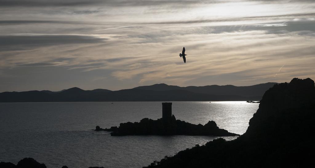Cap Esterel Garden Flat Saint-Raphaël Exterior foto